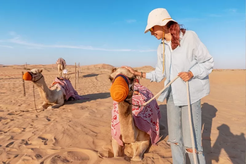 Tour Marrakech con Deserto Zagora